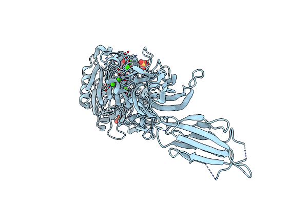 3B1T image