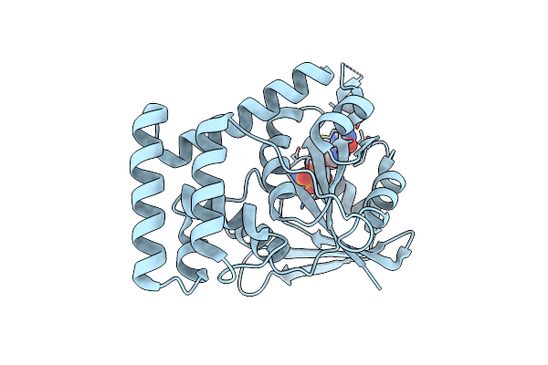 3B1Y image