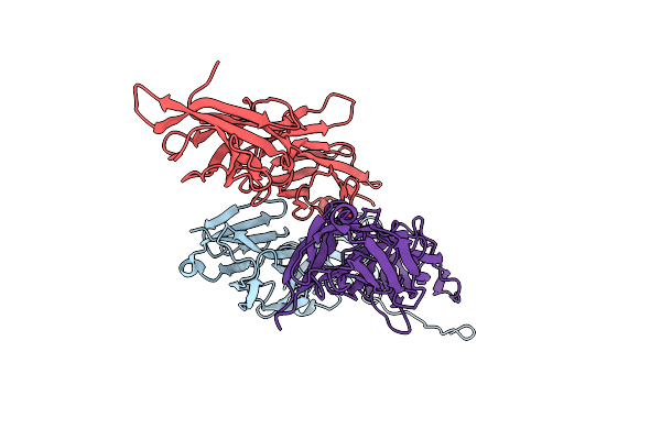 3B2M image