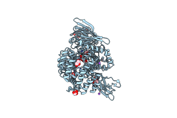 3B2P image