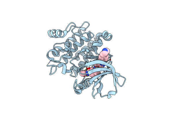 3B2W image