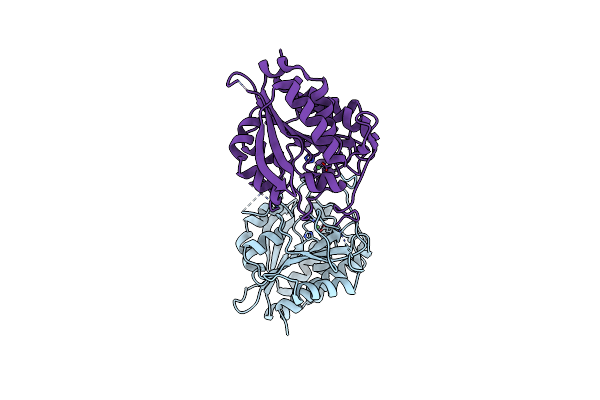 3B2Y image