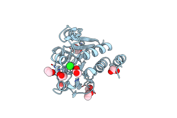 3B36 image