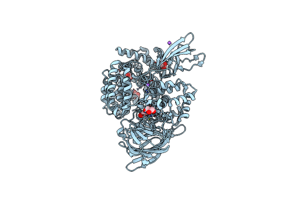 3B37 image
