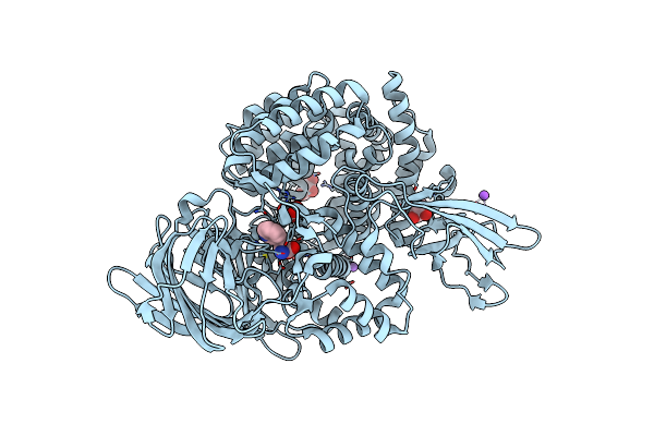 3B3B image