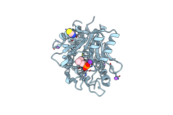 3B3C image