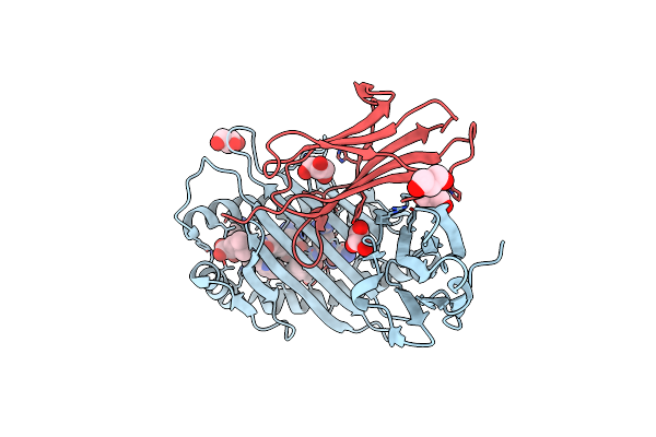 3B3I image
