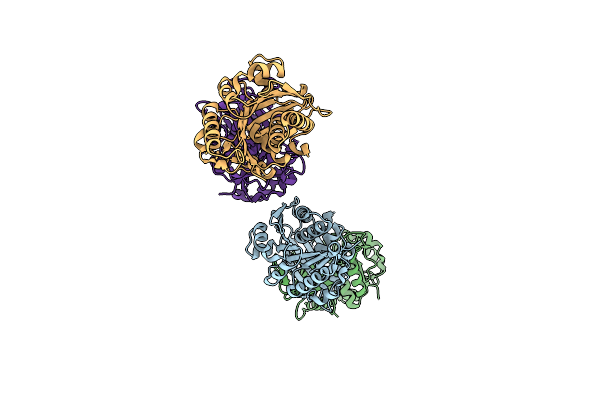 3B3L image