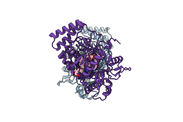3B3M image