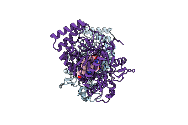 3B3N image