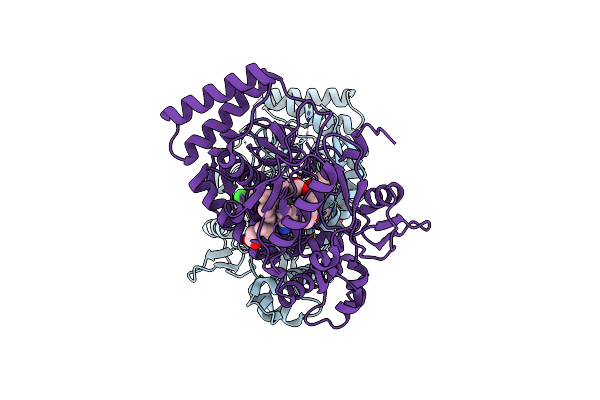 3B3O image