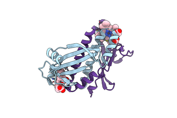 3B42 image