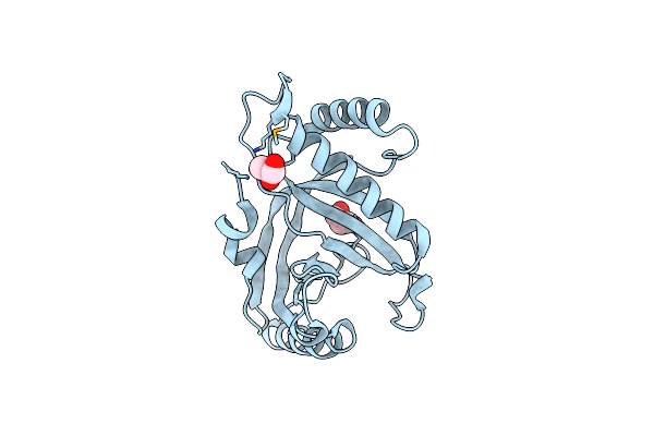 3B49 image