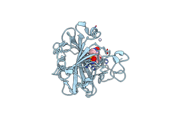 3B4F image