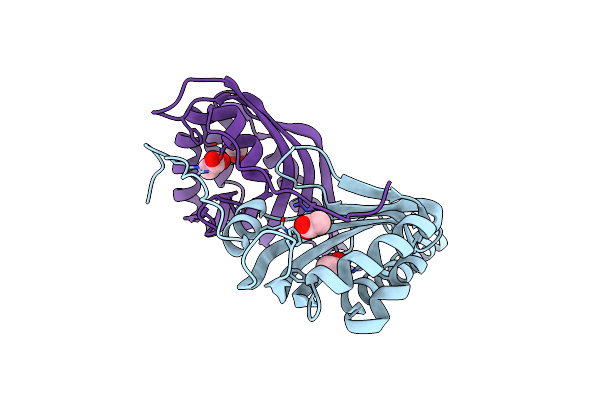 3B4O image