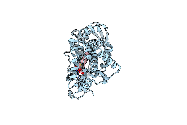 3B4X image