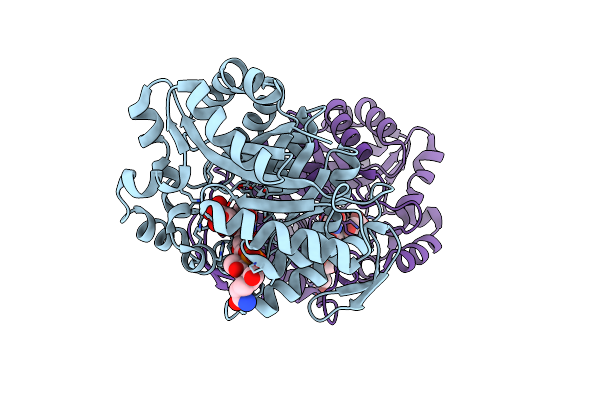 3B4Y image
