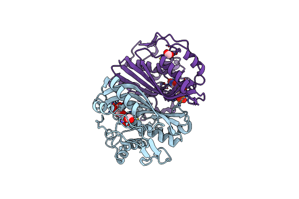 3B5B image