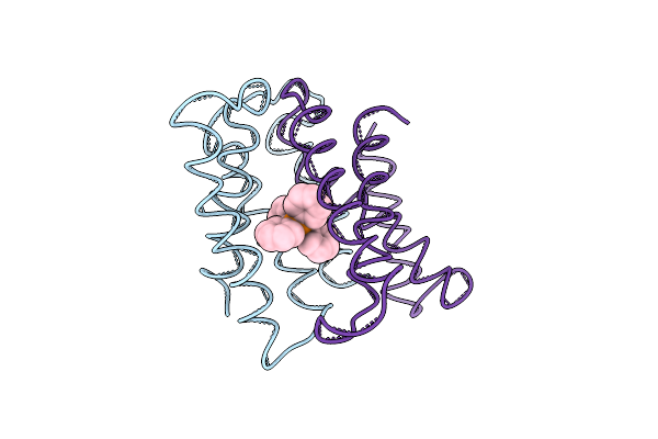3B5D image