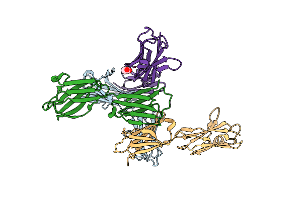 3B5H image