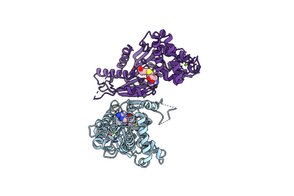 3B5I image