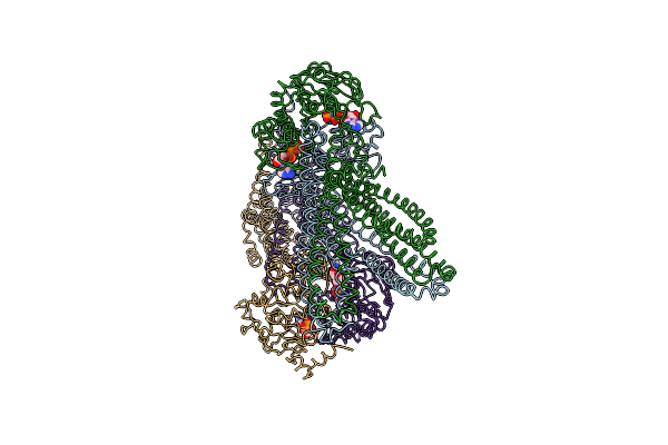 3B5Y image
