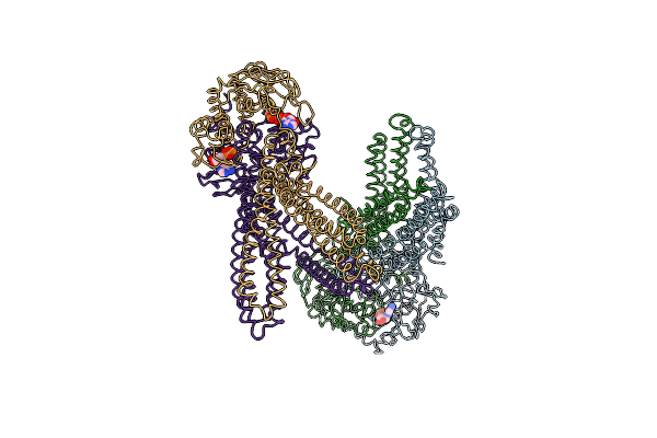 3B5Z image