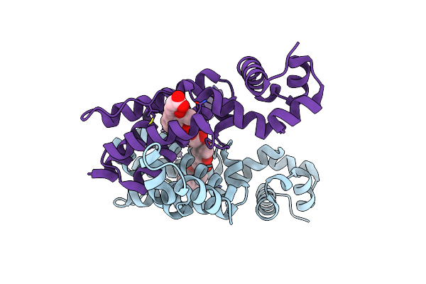 3B6C image