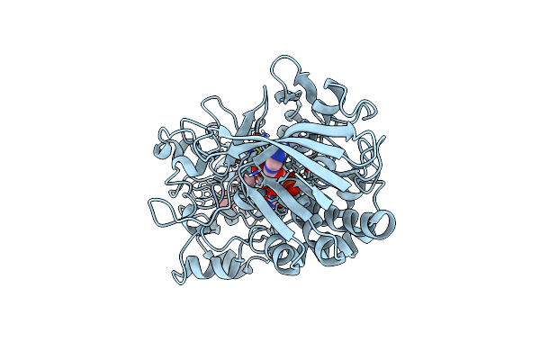 3B6D image