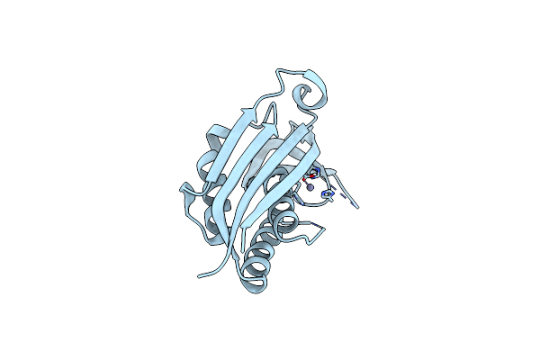 3B6N image