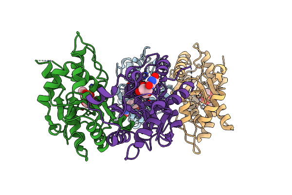 3B6O image