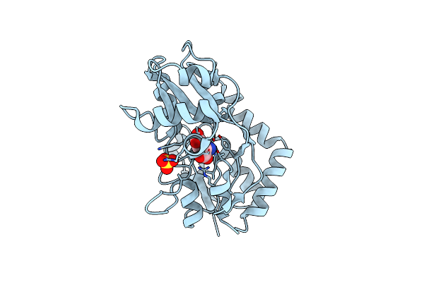 3B6Q image