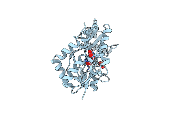 3B6T image