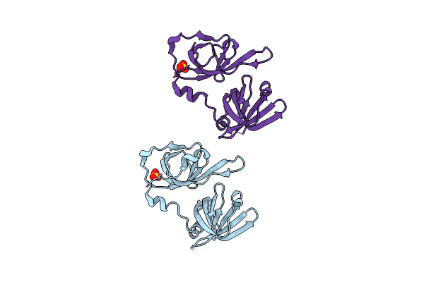 3B6Y image