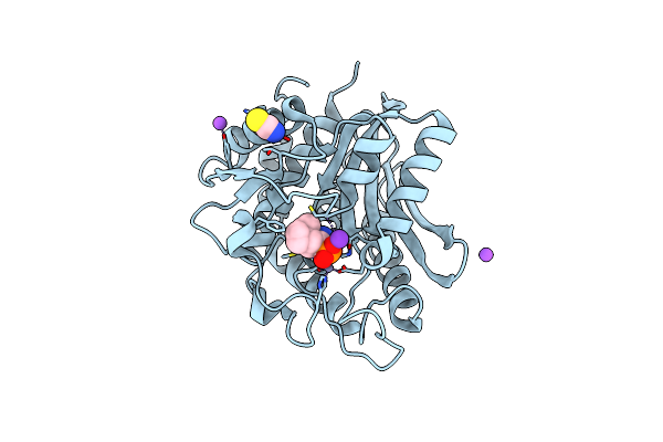 3B7I image