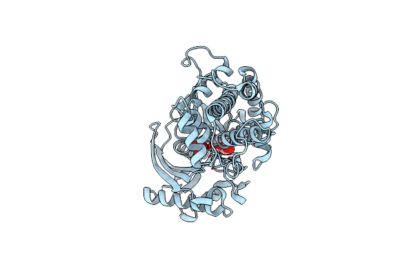 3B8A image