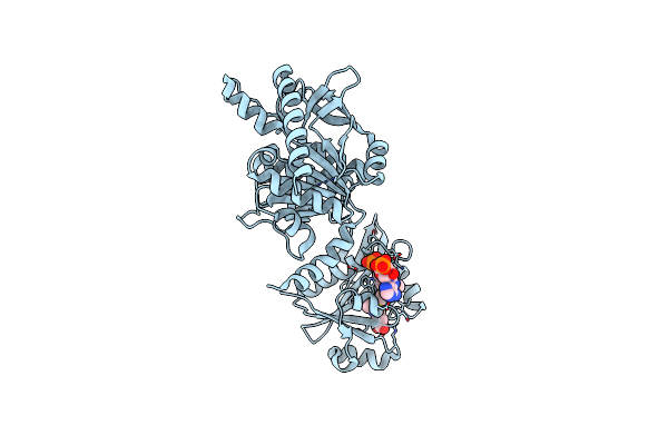 3B8G image
