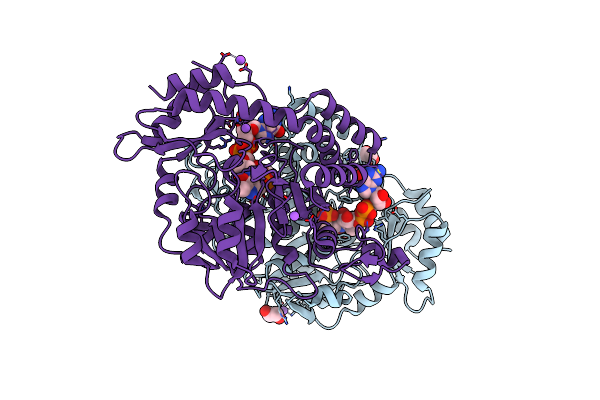 3B8X image
