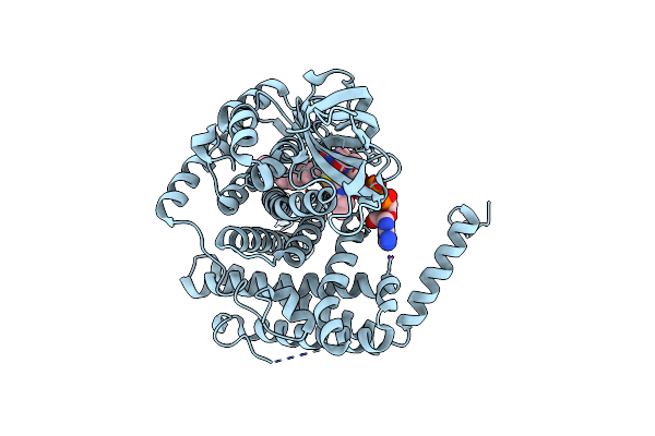 3B96 image