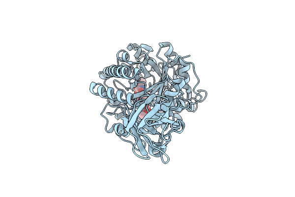 3B9D image