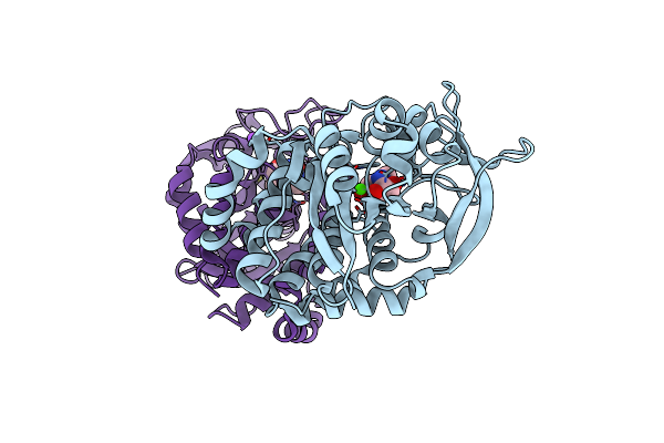 3B9G image