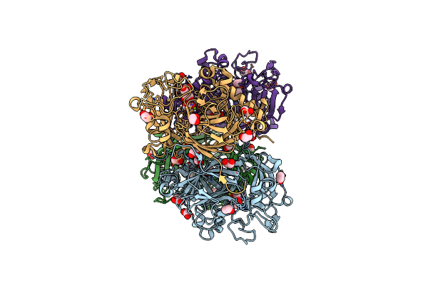3B9T image