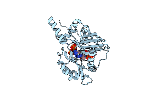 3BAC image