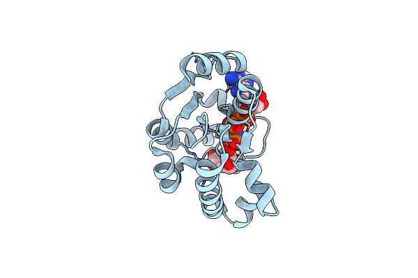 3BAF image