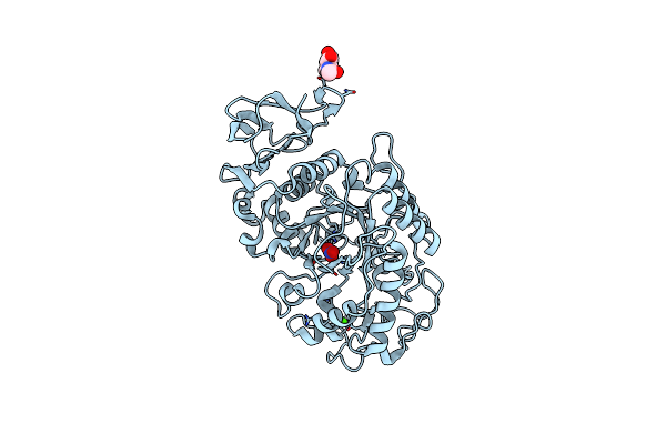 3BAI image