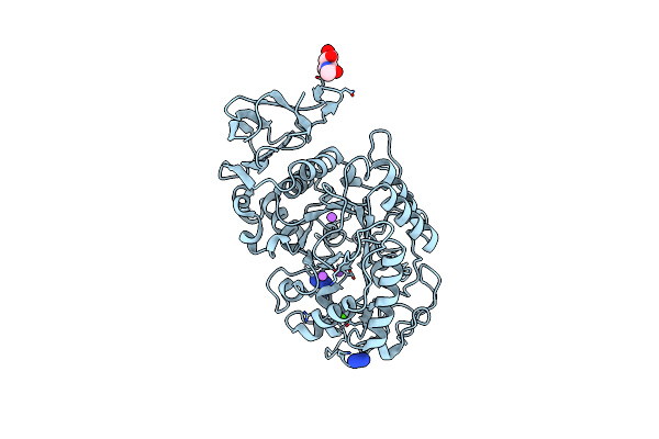 3BAX image
