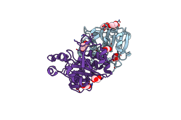 3BBE image