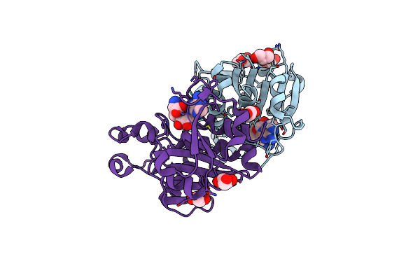 3BBH image