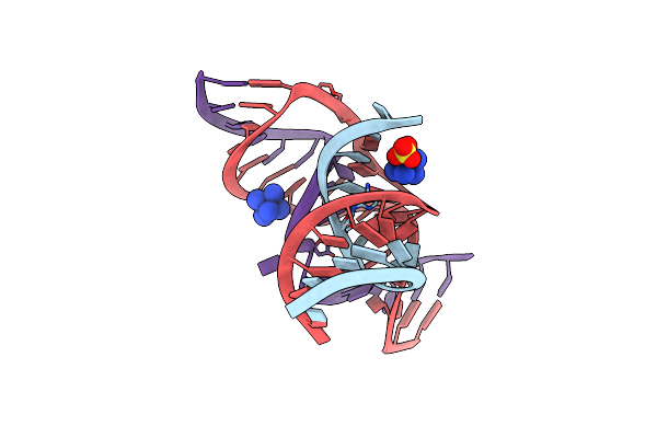 3BBI image