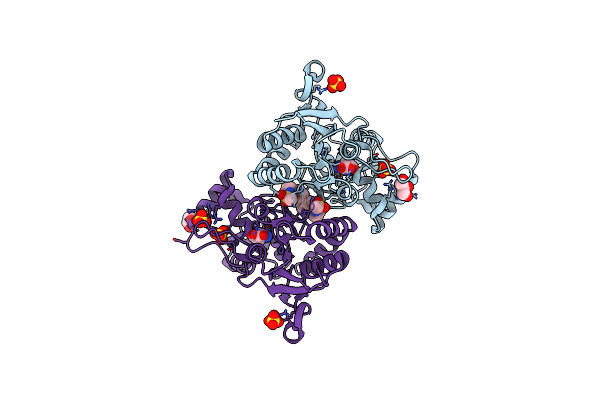 3BBR image